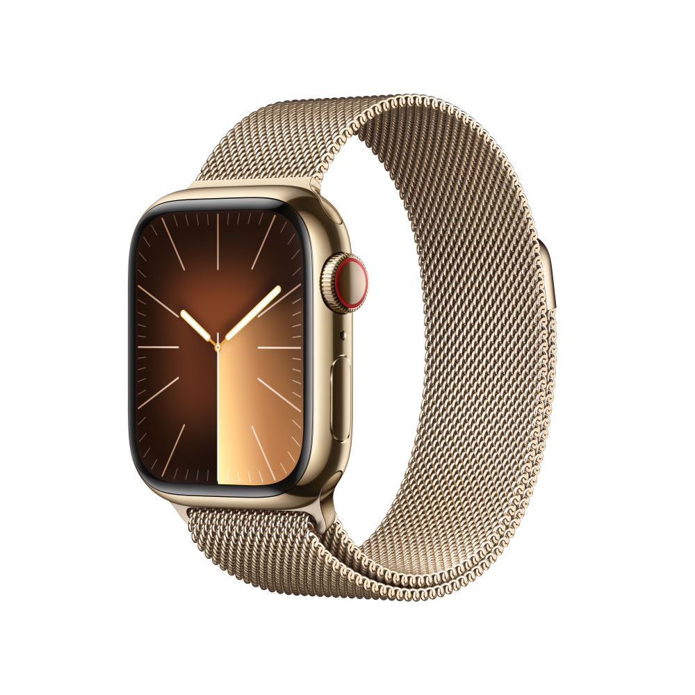 Apple Watch Series 9 Stainless Steel